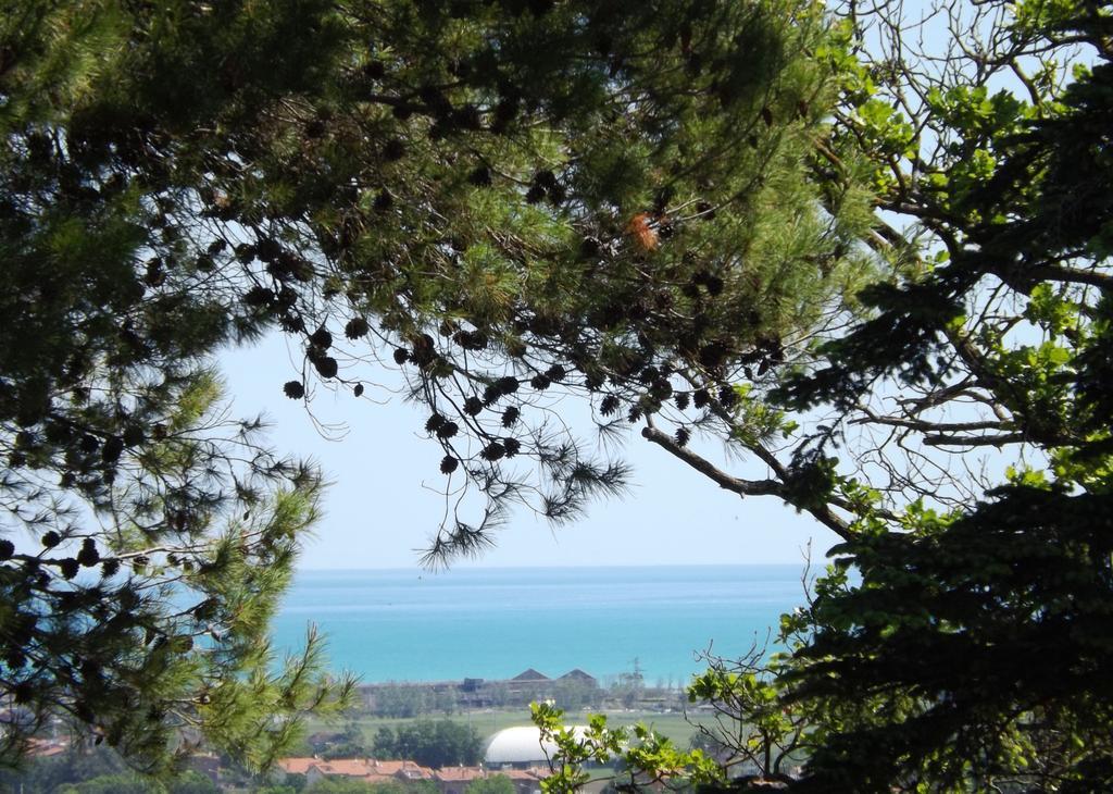Tenuta Villa Colle Sereno モンテマルチャーノ エクステリア 写真